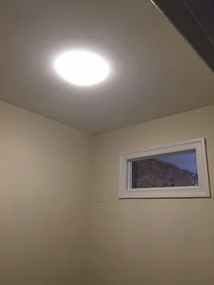 Rented by Bloom Real Estate Group | media 1