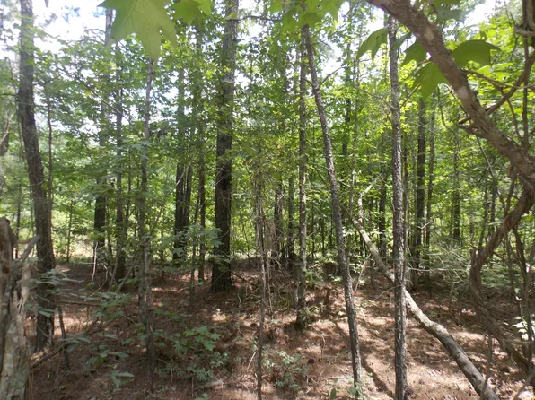 5 Buckhead Rd, Tignall, GA