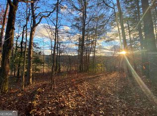 741 Harkins Rd TRACT B, Cleveland, GA 30528