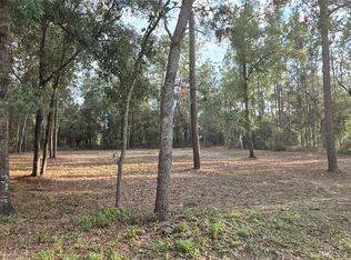 6334 Little Lake Geneva Rd, Keystone Heights, FL 32656