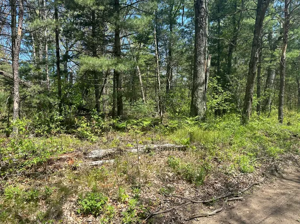 0 W Bishop, Idlewild, MI 49642