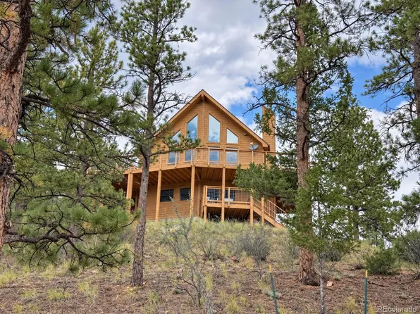 15194 S Swiss Road, Pine, CO 80470