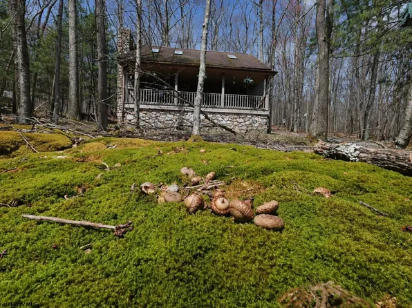 347 Windflower Dr, Terra Alta, WV 26764