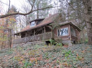 8176 Irish Rd, Colden, NY 14033