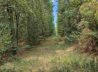 Cass County Rd #1579, Avinger, TX 75630