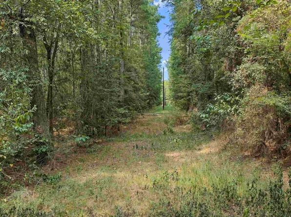 Cass County Rd #1579, Avinger, TX 75630