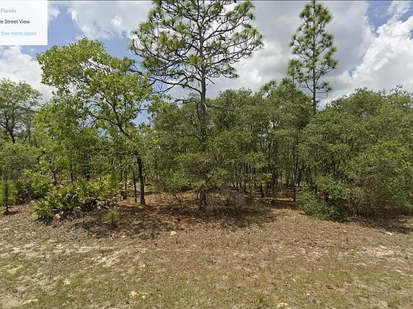 6530 N Northvale Ter, Citrus Springs, FL 34433