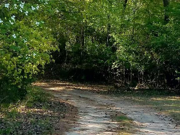 4th image of 2109 Blueberry Hill Ln