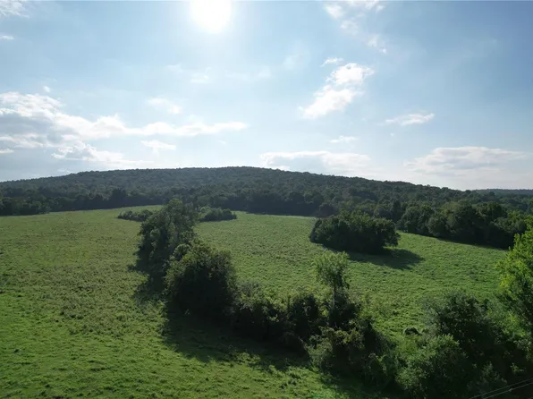 3 Madison St Tract 3, Fredericktown, MO 63645