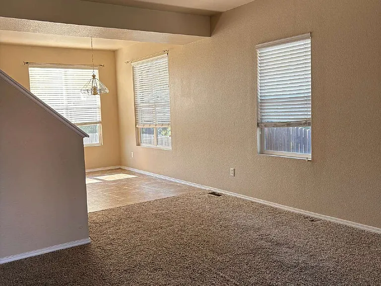 4521 Lazy River Dr — Photo 3