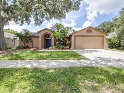 1324 Gangplank Dr, Valrico, FL, 33594