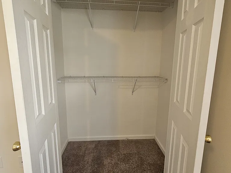 4216 Winding Branches Dr — Photo 6