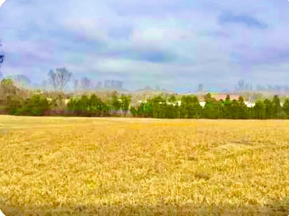 0 N Old Mount Juliet Rd, Mount Juliet, TN 37122