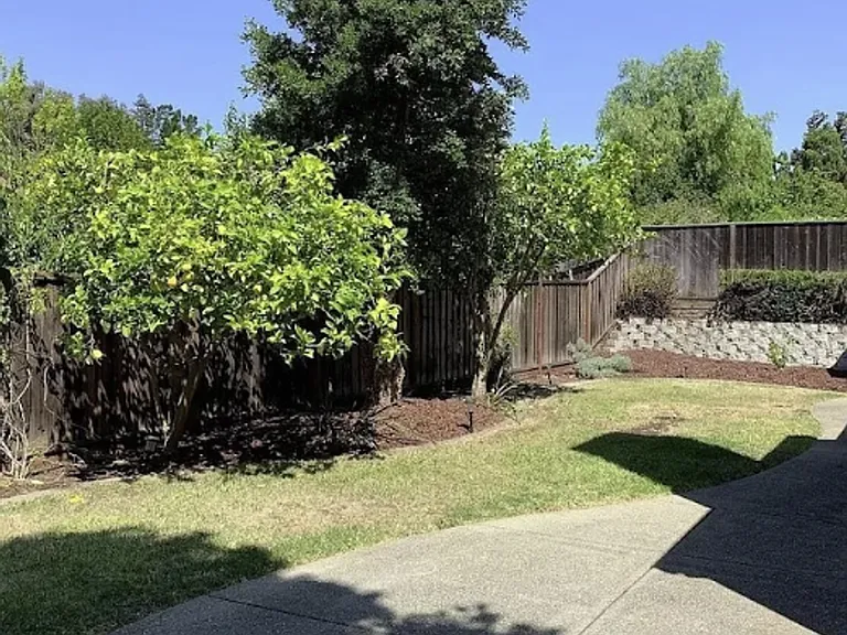 649 Daffodil Dr #10061 — Photo 19