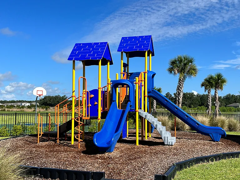 33746 Jasmine Star Loop — Photo 26