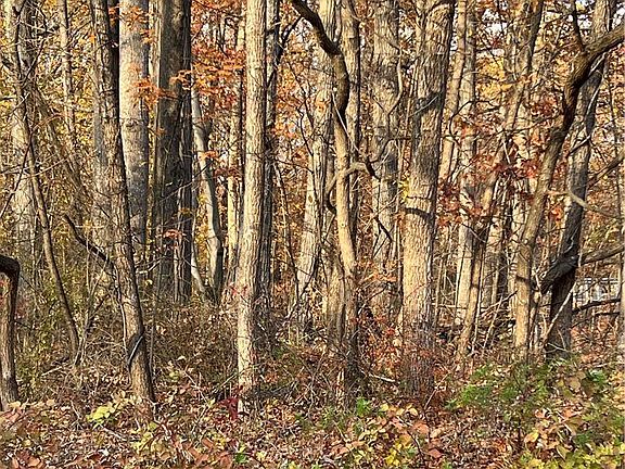 3rd image of Shooktown Rd