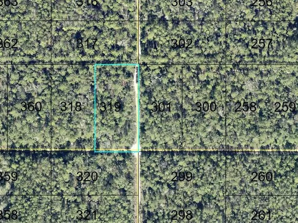 319 TIPPIN STREET, HASTINGS, FL 32145