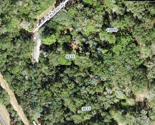 2nd image of 9335 N Buttercup Way