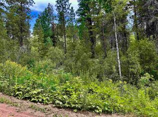 LOT-165B Johnson Creek Rd, Boise, ID 83716