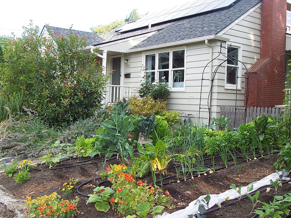 Solar vegetables