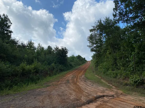 County Road 394 N, Tatum, TX 75691