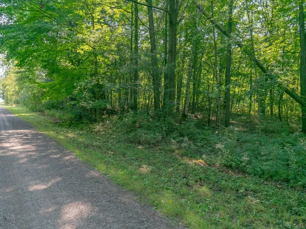 0 Schott Rd, Harbor Beach, MI 48441