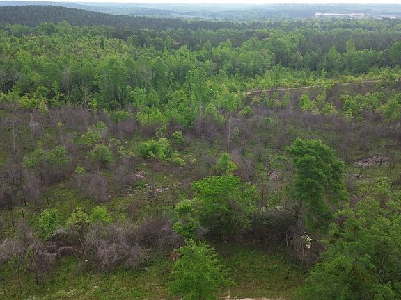 5th image of LOT 1 0 County Rd #351