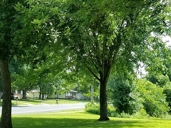 4th image of 687 116th Ln NE