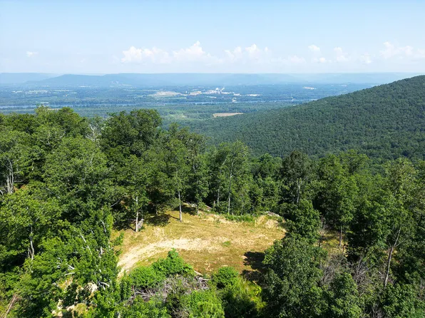 21.4 County Road 14, Flat Rock, AL 35966