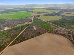 0 Blue Springs Rd, Sylvester, GA 31791