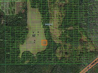 US Hwy 27, Polk City, FL 33868