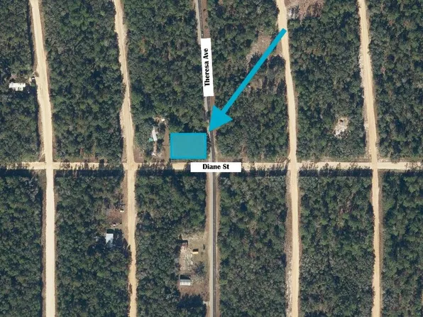 Tbd Theresa Avenue, Interlachen, FL 32148