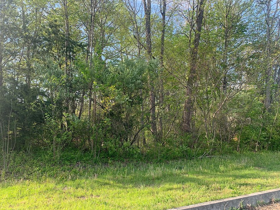 2nd image of Forest Cove Ct