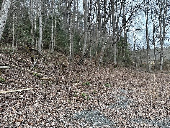 3rd image of 7020 Martins Creek Rd