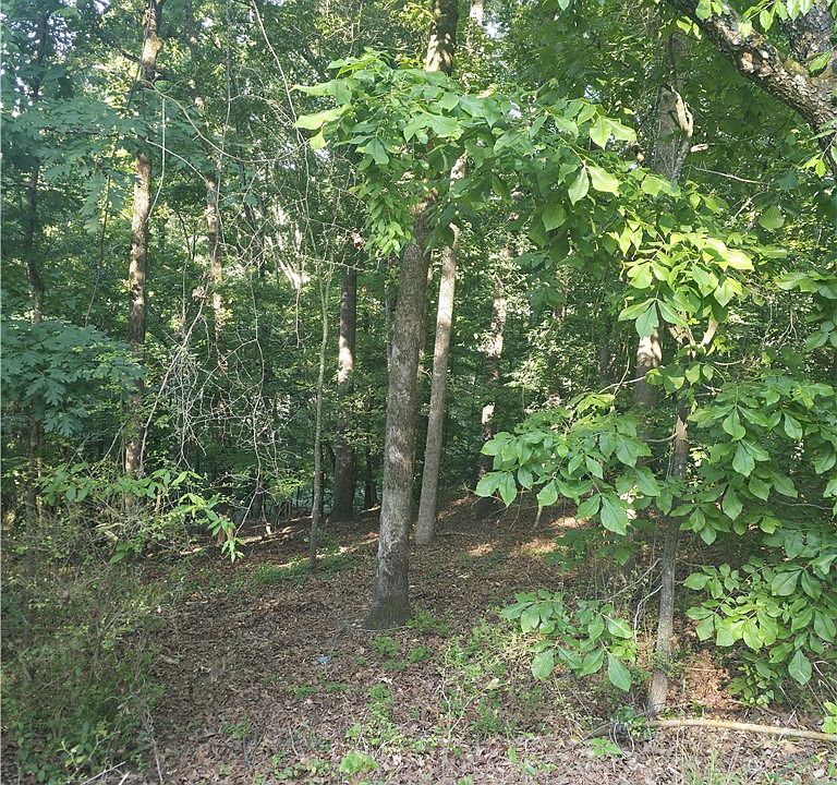 2nd image of 330 Caldwell Circle