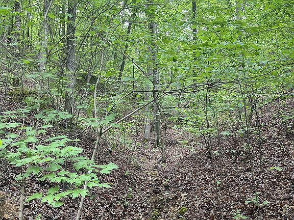 2nd image of 0 Old Mail Rd Lot 34