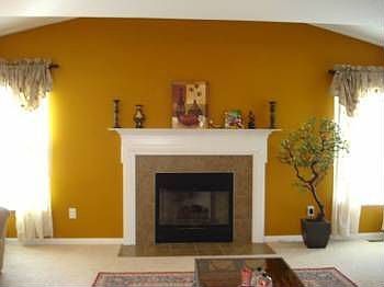 1st image of 479 Thistleview Dr