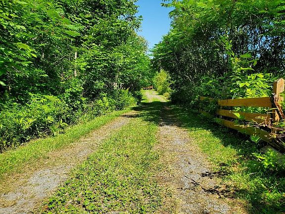 5th image of 11 Ripley Road