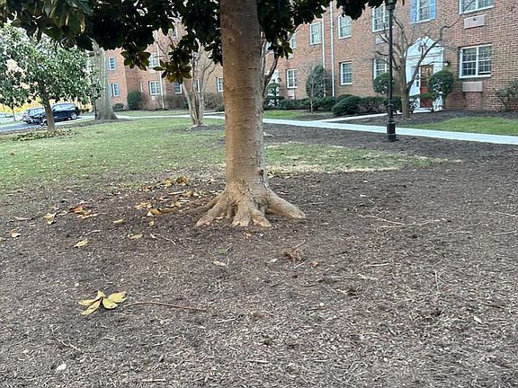 3rd image of 1728 W Abingdon Dr APT 202