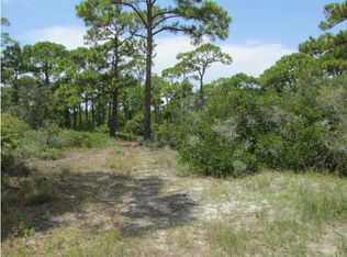 316 E Sawyer St, Saint George Island, FL 32328