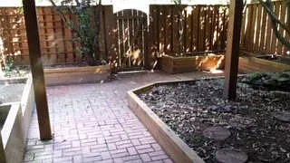 lower level back patio