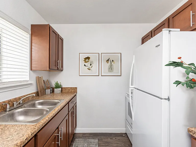 The Ellis Apartments — Photo 6