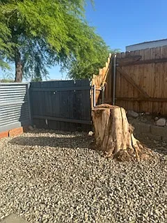 6595 Oasis Ave — Photo 30