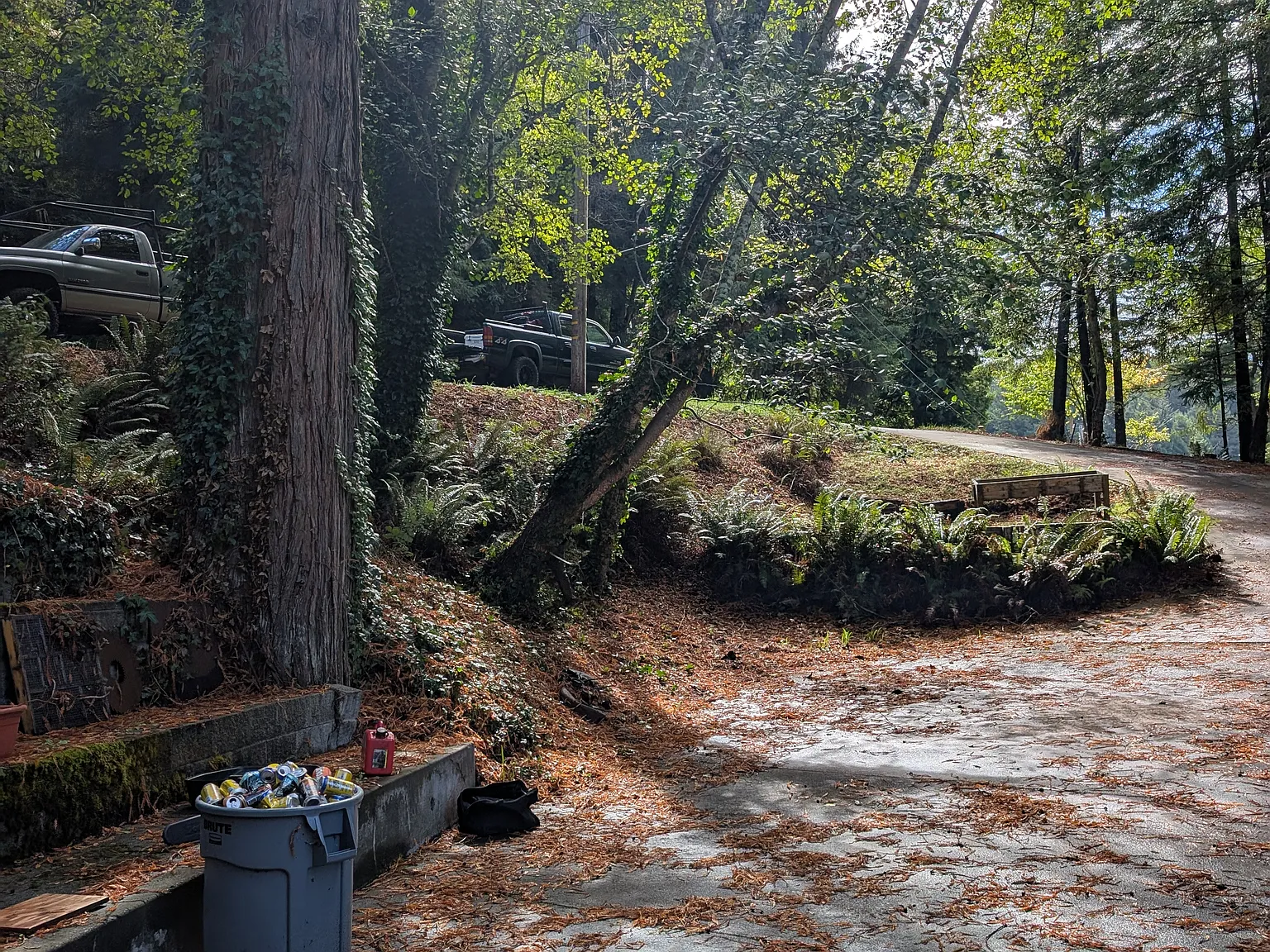 Vista Dr, Eureka — Photo 3