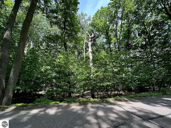 32 Golf Meadows Dr, Bellaire, MI 49615