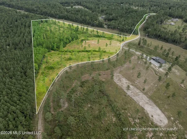 48 Clear Pines Dr, Sumrall, MS 39482