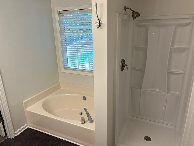 Master bath garden tub and separate shower