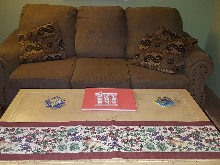 Queen Sofa Sleeper Couch in Living Room