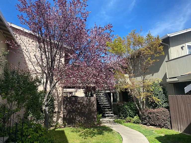5727 Sutter Ave — Photo 9