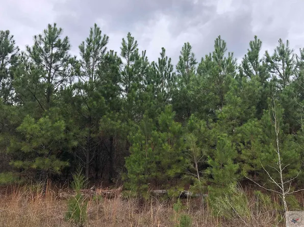 County Road 1110, Atlanta, TX 75551